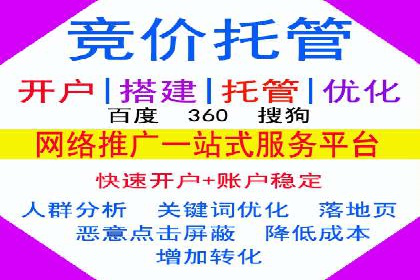 SEM广告的精准定向技巧与成功案例解析